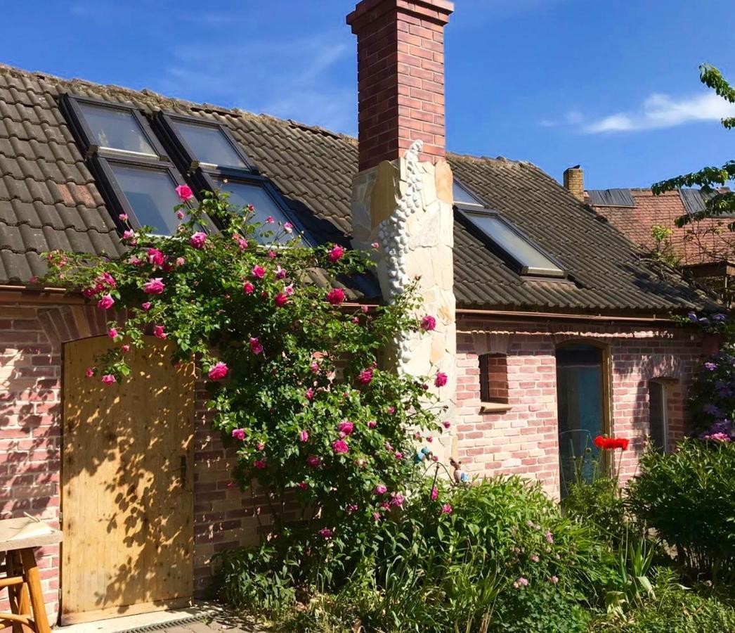 Boutique Hotel Shambala Zeitlos Wiedemar 外观 照片